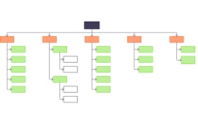 Team Organization Flowchart